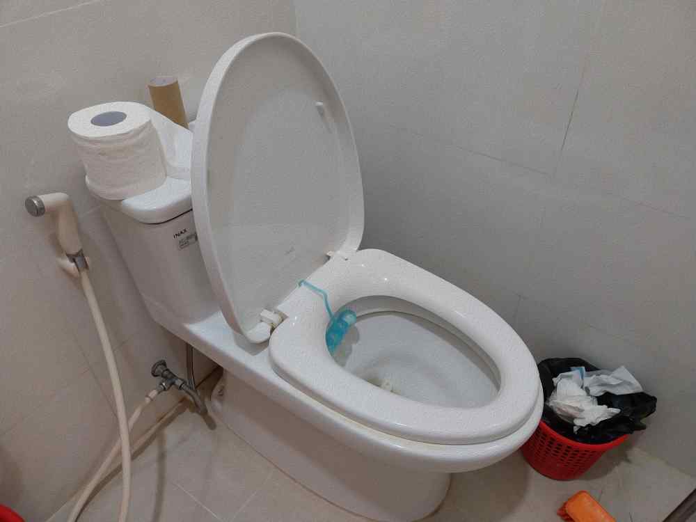 Nicht immer kann man sich in Vietnam auf solche Hygienestandards in Toiletten - hier auch inklusive Spritzschlauch - verlassen. Foto: Heiko Weckbrodt