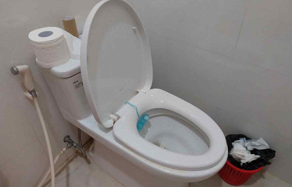 Schlachtfeld Toilette – seien Sie für alles gewappnet!